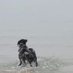 Lake Meredith Campground