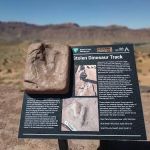 Hells Revenge Trailhead