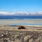 Antelope Island State Park
