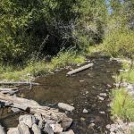 Shingle Creek Campground