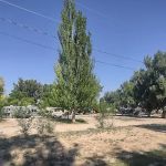 Temple Hill Campground