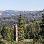 Twelve Mile Flat Campground