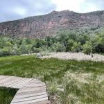 Maple Grove Campground