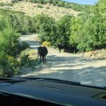 Maple Hollow Campground