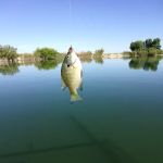 Willow Creek Campground