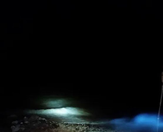Stateline Cove Campground