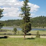 Browne Lake Group Sites