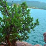 Mustang Ridge Amphitheater