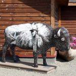 Buffalo Crossing RV Park