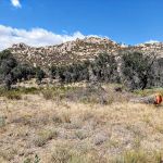 Atáxam Mámta’ash Campground (formerly Indian Flats)