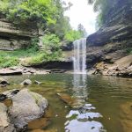 Savage Gulf State Natural Area