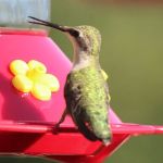 Knightridge Campground