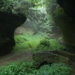 Highlands Nature Sanctuary