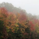 Eagle Rock Resort & Campground