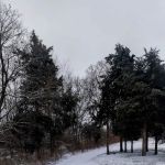 White Acres Campground & Gifts