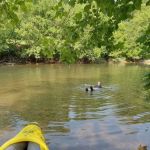 Paddle Trail Campground