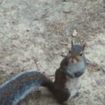 Breckenridge RV Campground