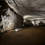 Mammoth Cave National Park