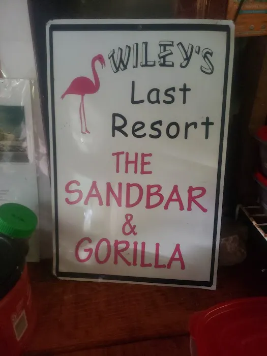 The Sandbar & Gorilla 3
