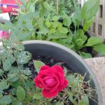 Tennessee Country Campground