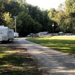 The Crosseyed Cricket