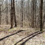 Gatlin Point Self-Service Campground & Boat Ramp