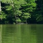 Rushing Bay Camp Spot