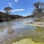 Guadalupe River RV Park & Campgrounds