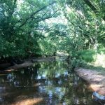 Two Rooster Ranch RV Park