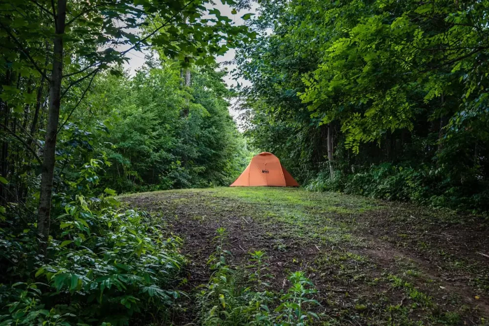 Top 5 Campgrounds in the US with the Best Amenities for an Unforgettable Outdoor Experience