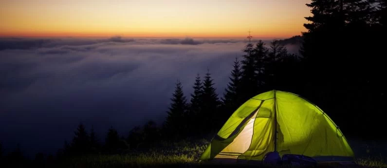 How to Keep Mosquitoes Away When Camping in the Woods: Essential Tips and Tricks