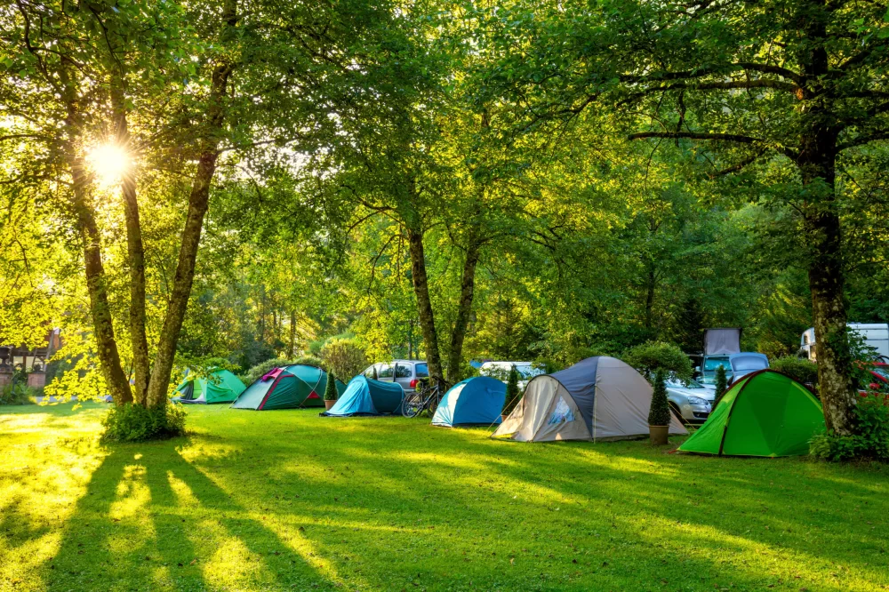 How to Select the Perfect Campsite Near National Parks