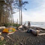 Top-Rated Campgrounds for Exploring National Forests