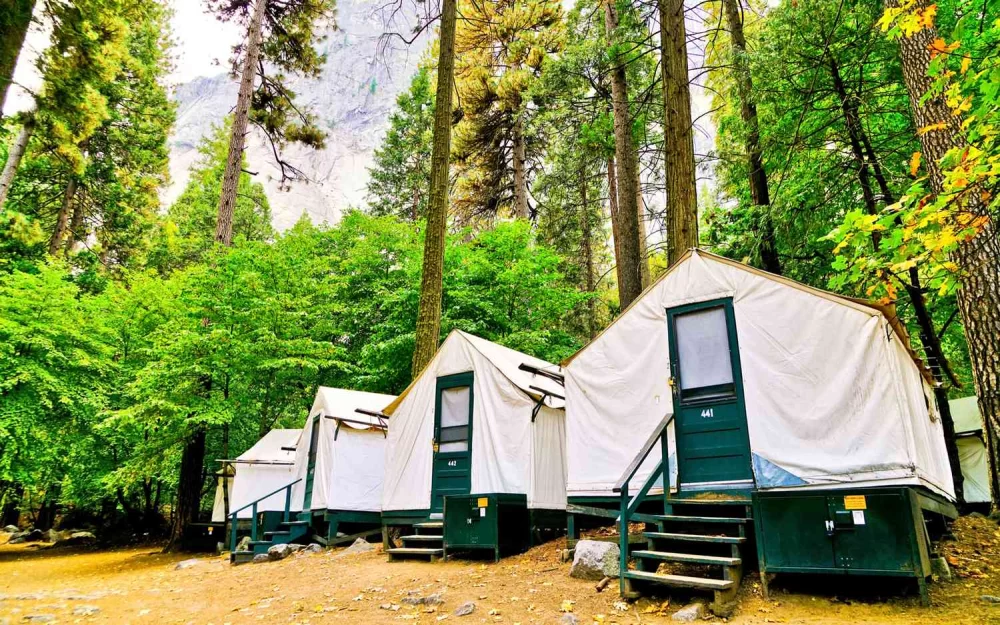 Best Family Camping Parks Near Popular Summer Destinations: Top Campsites for a Perfect Family Getaway