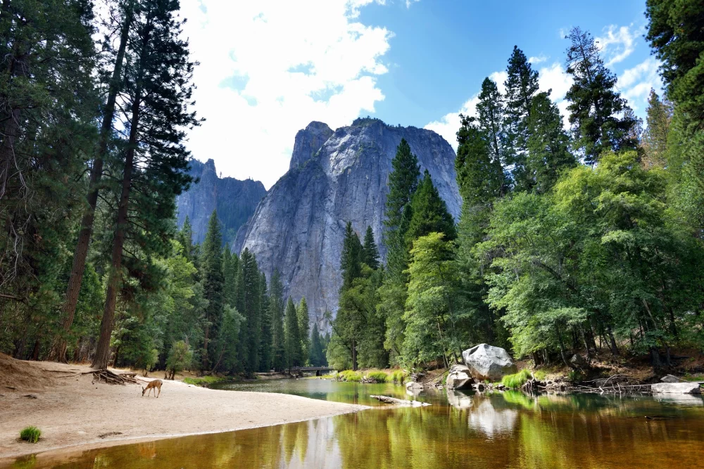 Best Places to Camp for Photography Enthusiasts: Explore Scenic Camping Destinations for Stunning Shots