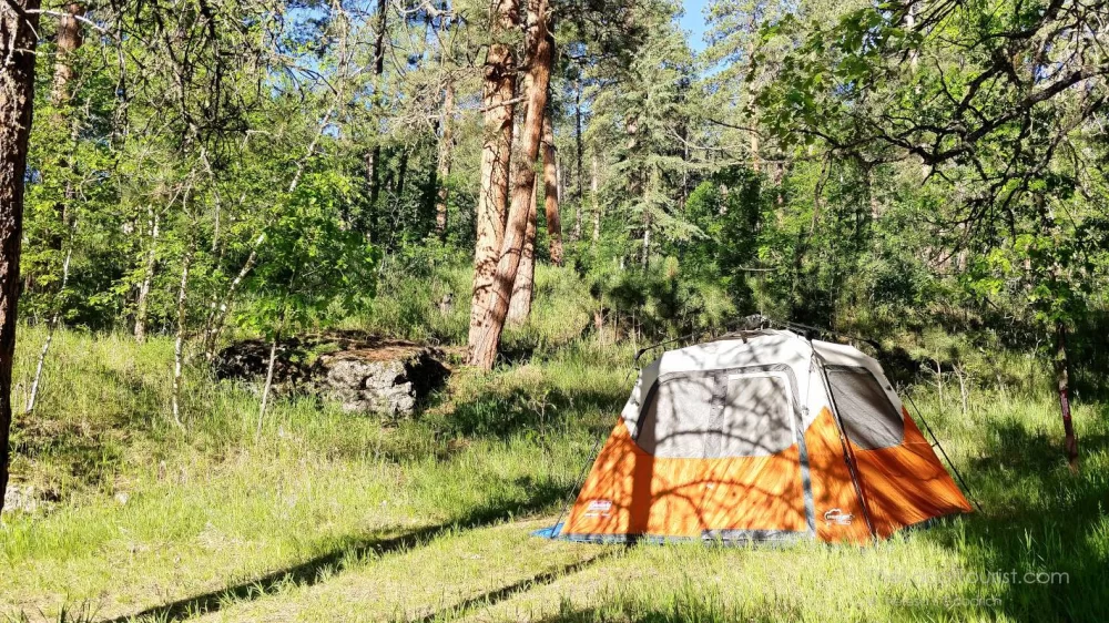 Top Campgrounds with Volleyball and Basketball Courts for Active Travelers
