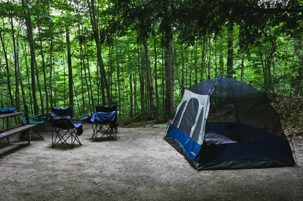 Best Forest Camping Retreats for a Peaceful Nature Escape
