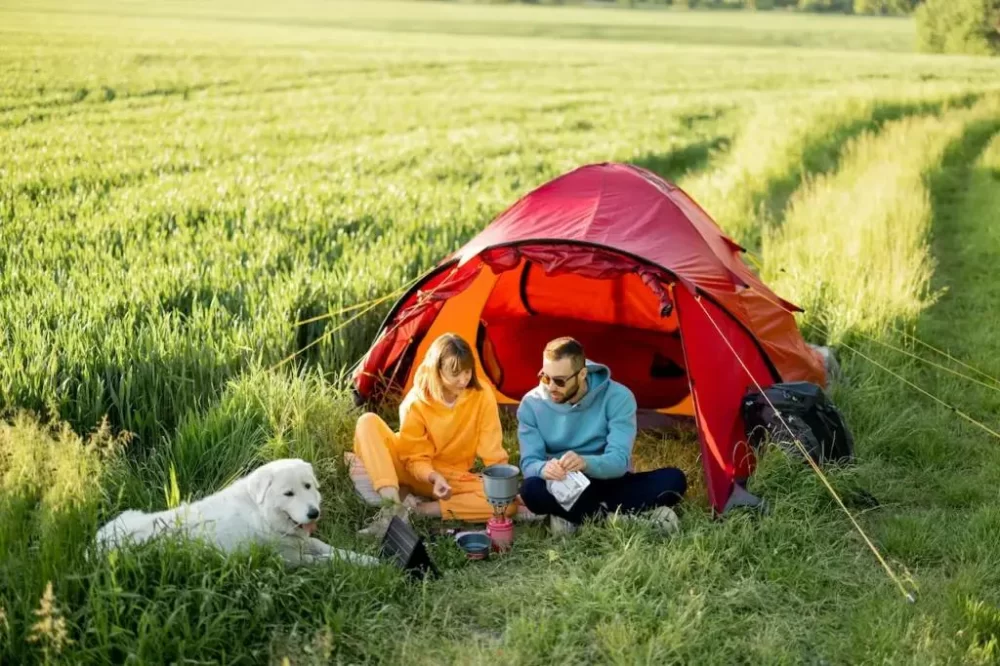 Wildlife Watching While Camping: The Ultimate Guide to Nature Adventures