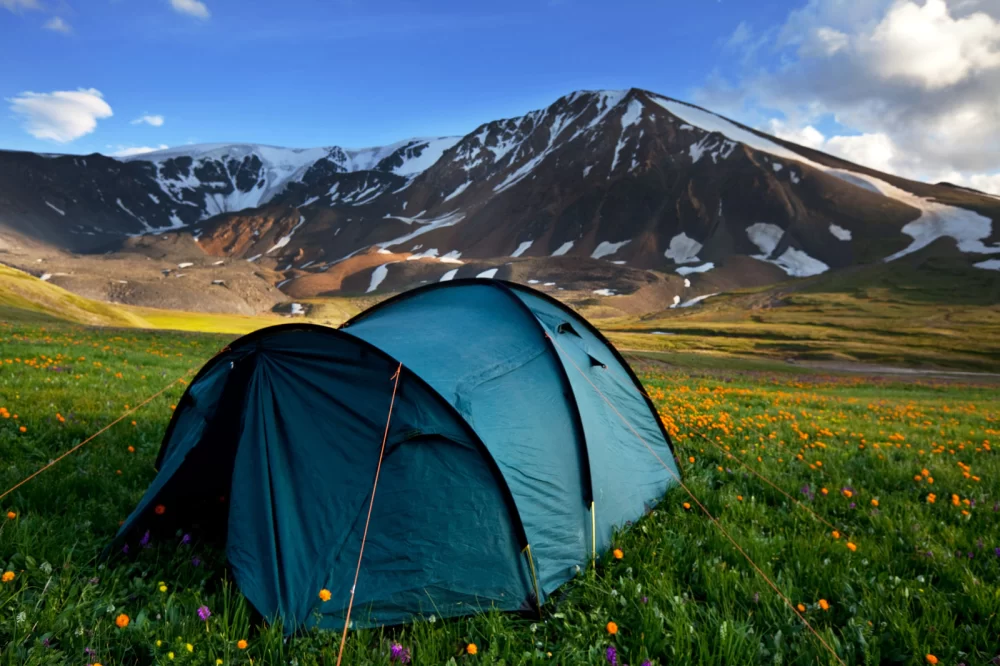 Best Camping Tips for Beginners – Essential Tips for First-Time Campers