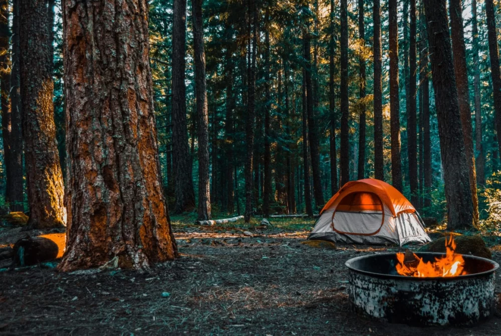 The Ultimate Guide to Camping in Shenandoah National Park – Best Spots & Tips