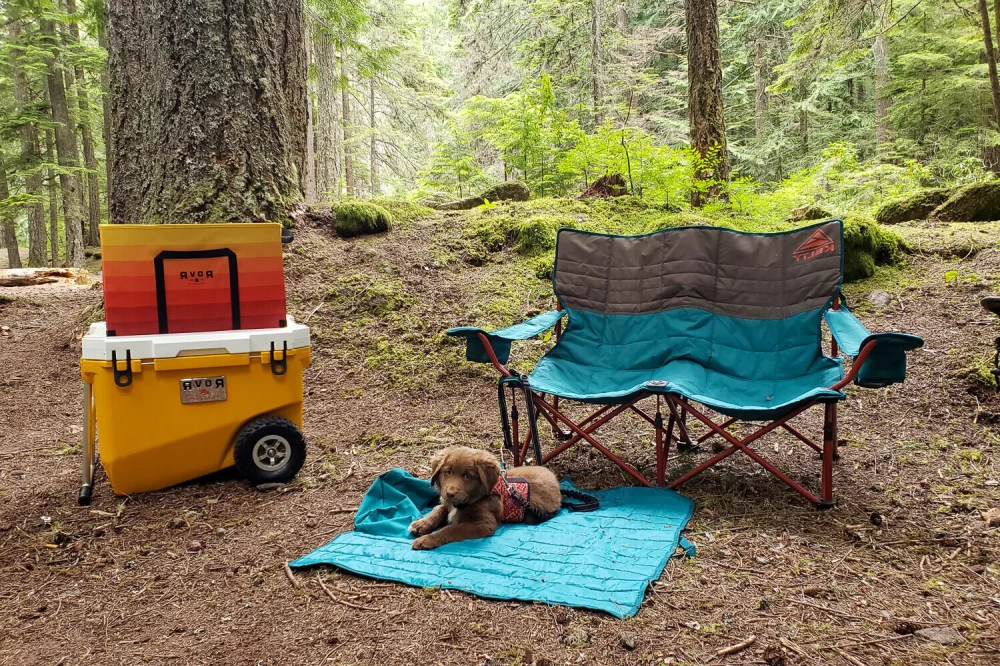 How to Choose the Best Camping Chairs for Comfort: A Comprehensive Guide to Outdoor Comfort