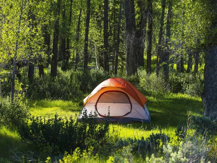 Top Family Camping Destinations for Memorable Outdoor Adventures