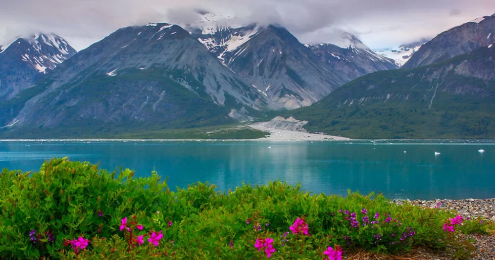 Best Camping for Nature Lovers: Top Destinations for Outdoor Enthusiasts