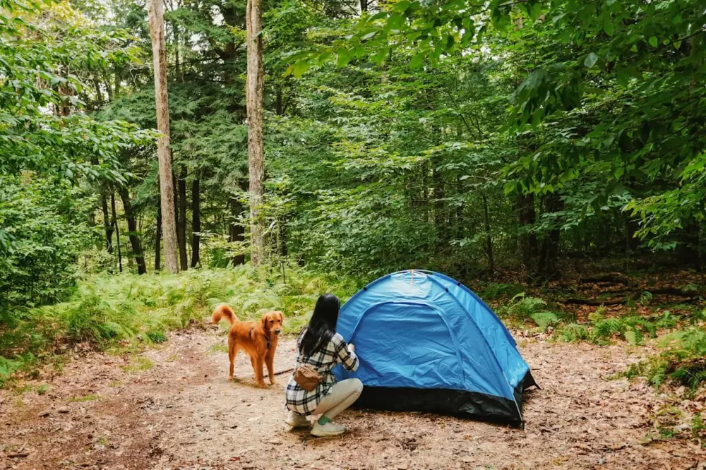 How to Choose the Best Campsite Near a River