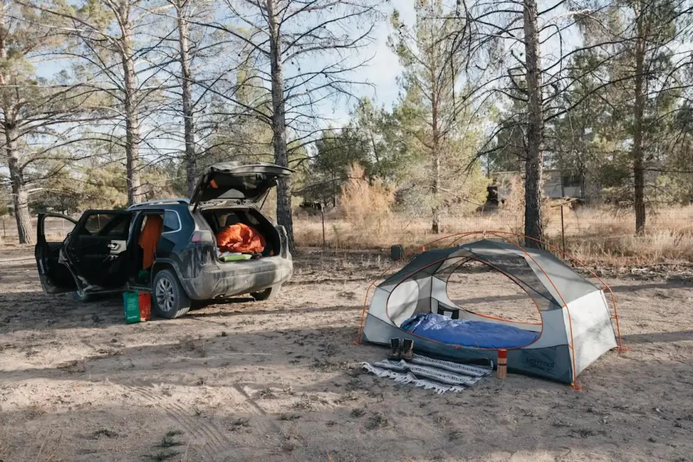 Top Family Camping Spots Near Las Vegas for an Unforgettable Adventure