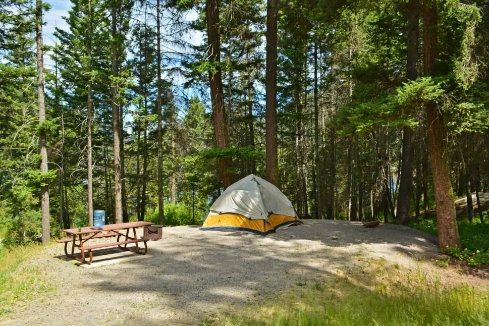 Best Family Camping Resorts Near Lush Gardens and Forests for Unforgettable Adventures
