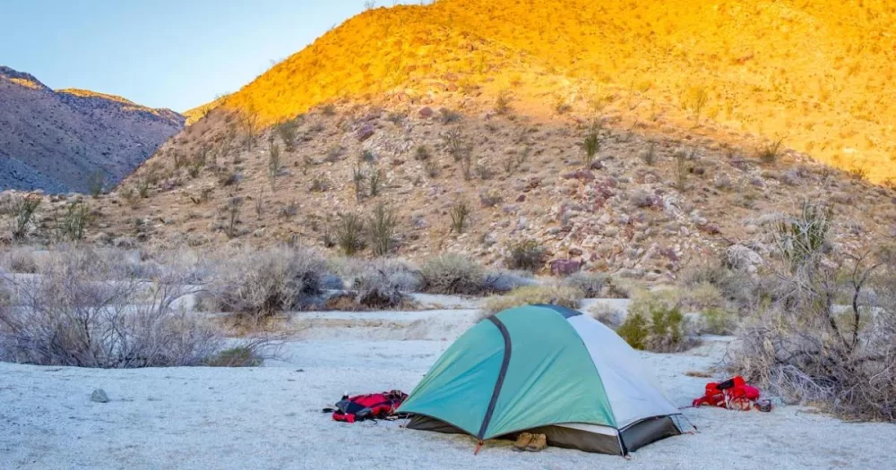 Best Family Camping Resorts Near Outdoor Adventure Hubs for an Unforgettable Experience