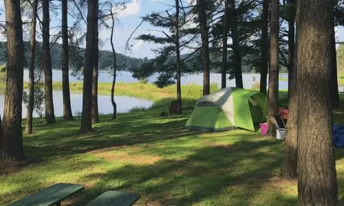 Best Family Camping Spots with Organized Events and Activities for Unforgettable Adventures