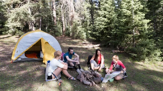 Top Camping Spots with Organized Nature Excursions