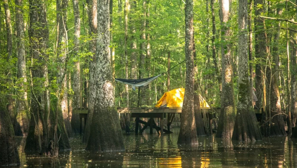 Best Camping Resorts in the North Carolina Mountains for Your Next Adventure